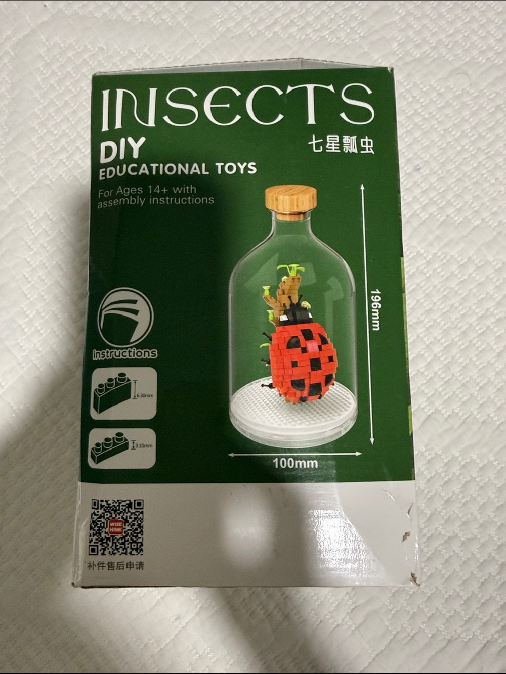 DIY Insects Educational Toy - Bottle with Red Ladybug Build